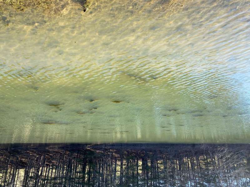 Attached picture Pond with algae under surface-Feb..jpg